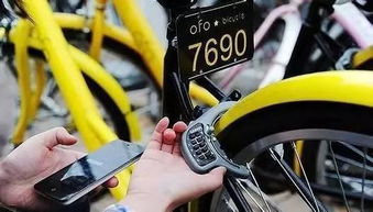 男童骑ofo死亡为何索赔 天价 878万 死者律师 赔太少不能抚慰家属